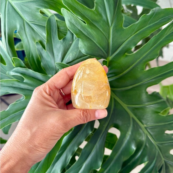 Golden Healer Freeform - Picture 3 of 6